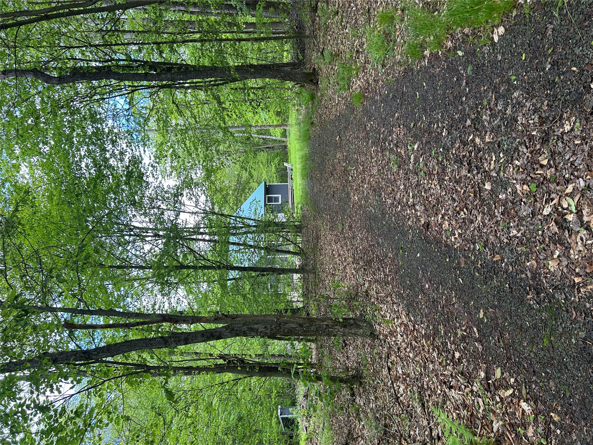 247 Maccabee Road, Roscoe, New York image 39