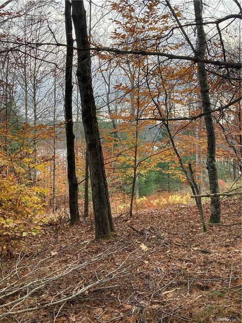 Vacant Land For Sale - 140 Plank Road<br/> Mongaup Valley, NY 12762