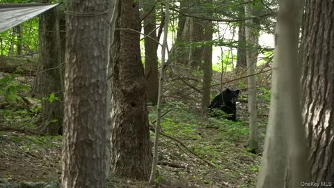 Vacant Land For Sale - 19 Stoutenburgh Drive<br/> Hyde Park, NY 12538