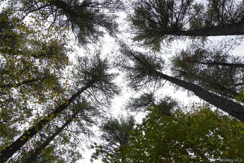 19 Stoutenburgh Drive Hyde Park NY 12538