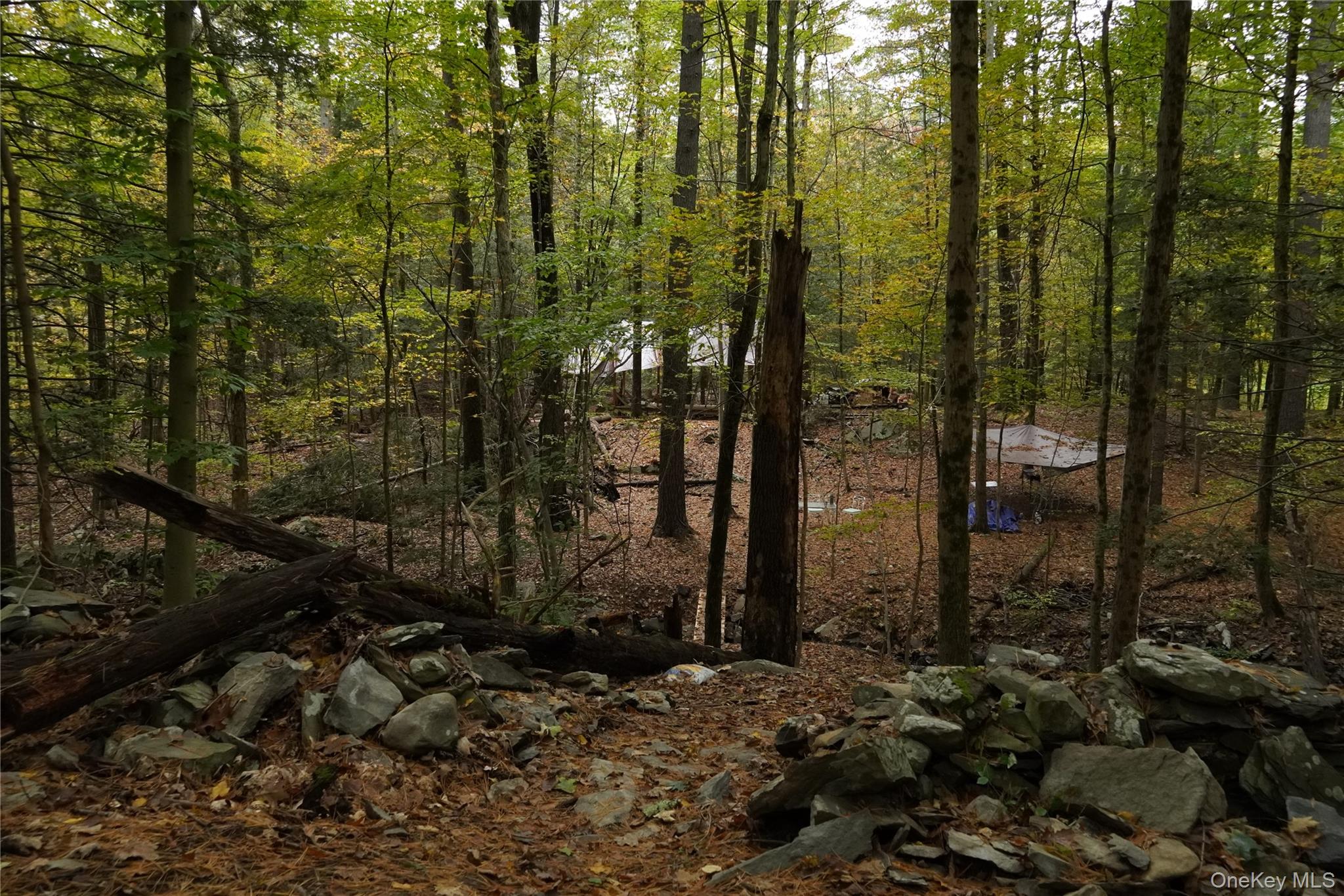 19 Stoutenburgh Drive