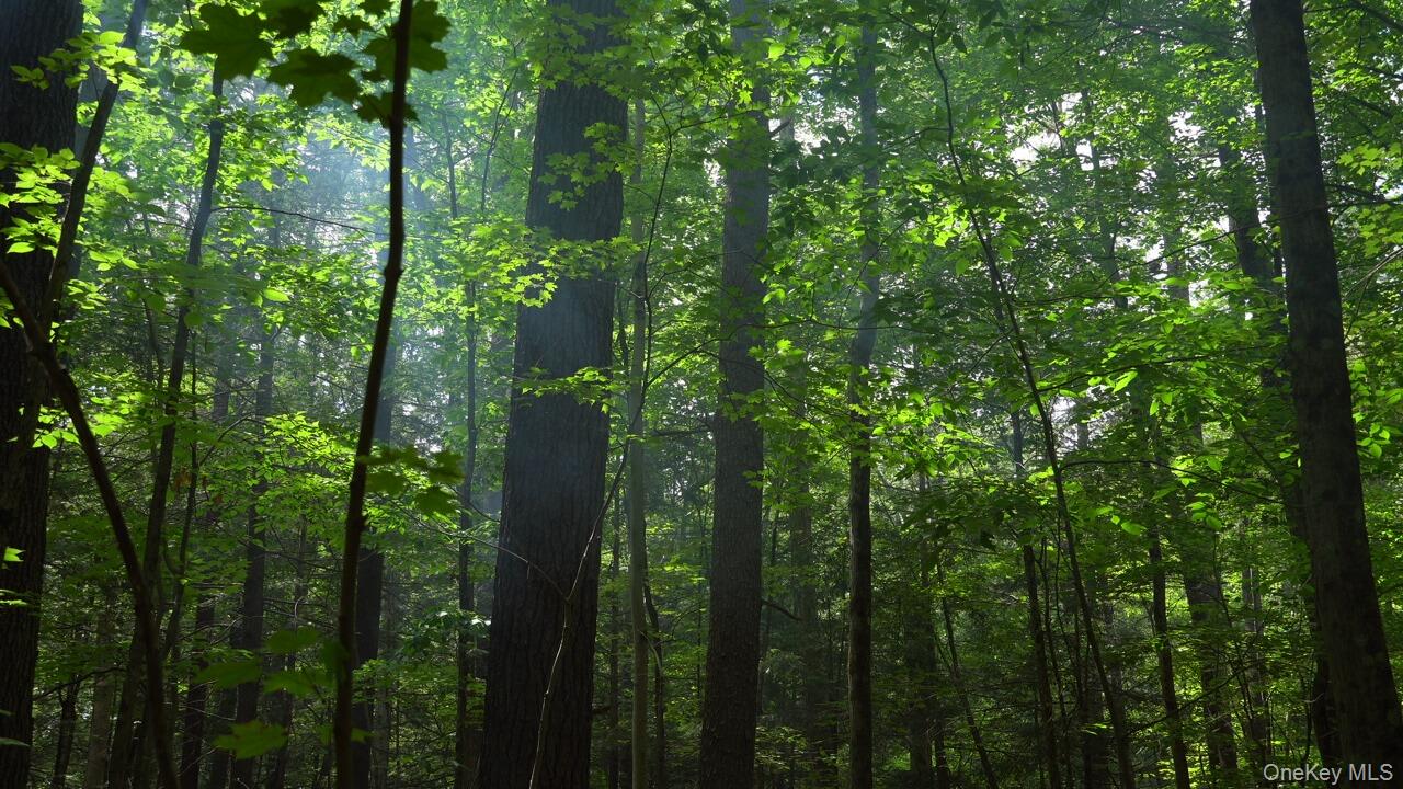 19 Stoutenburgh Drive