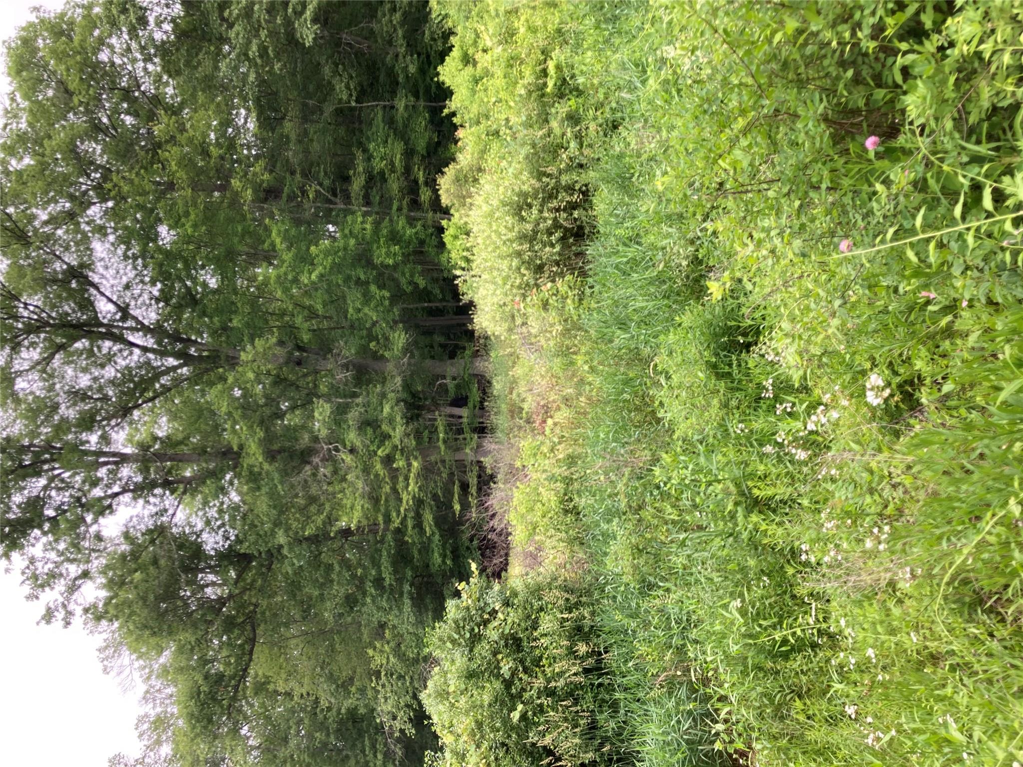 Baxtertown Road, Fishkill, New York -  - 
