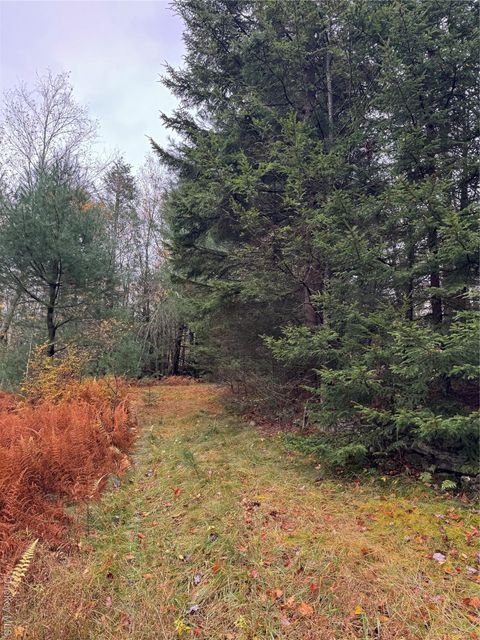 296 Southwoods Drive Monticello NY 12701