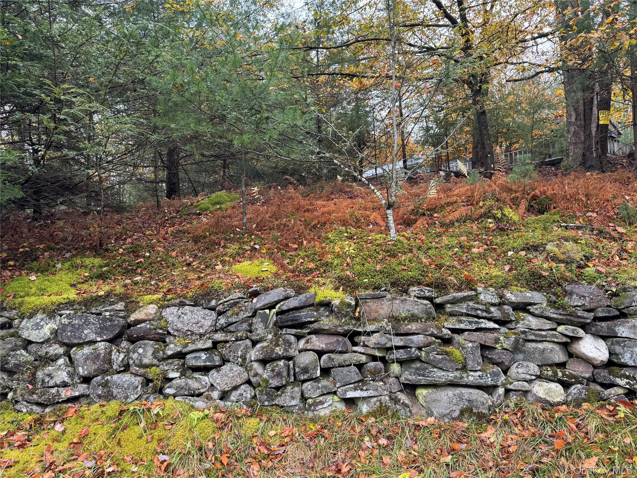 296 Southwoods Drive