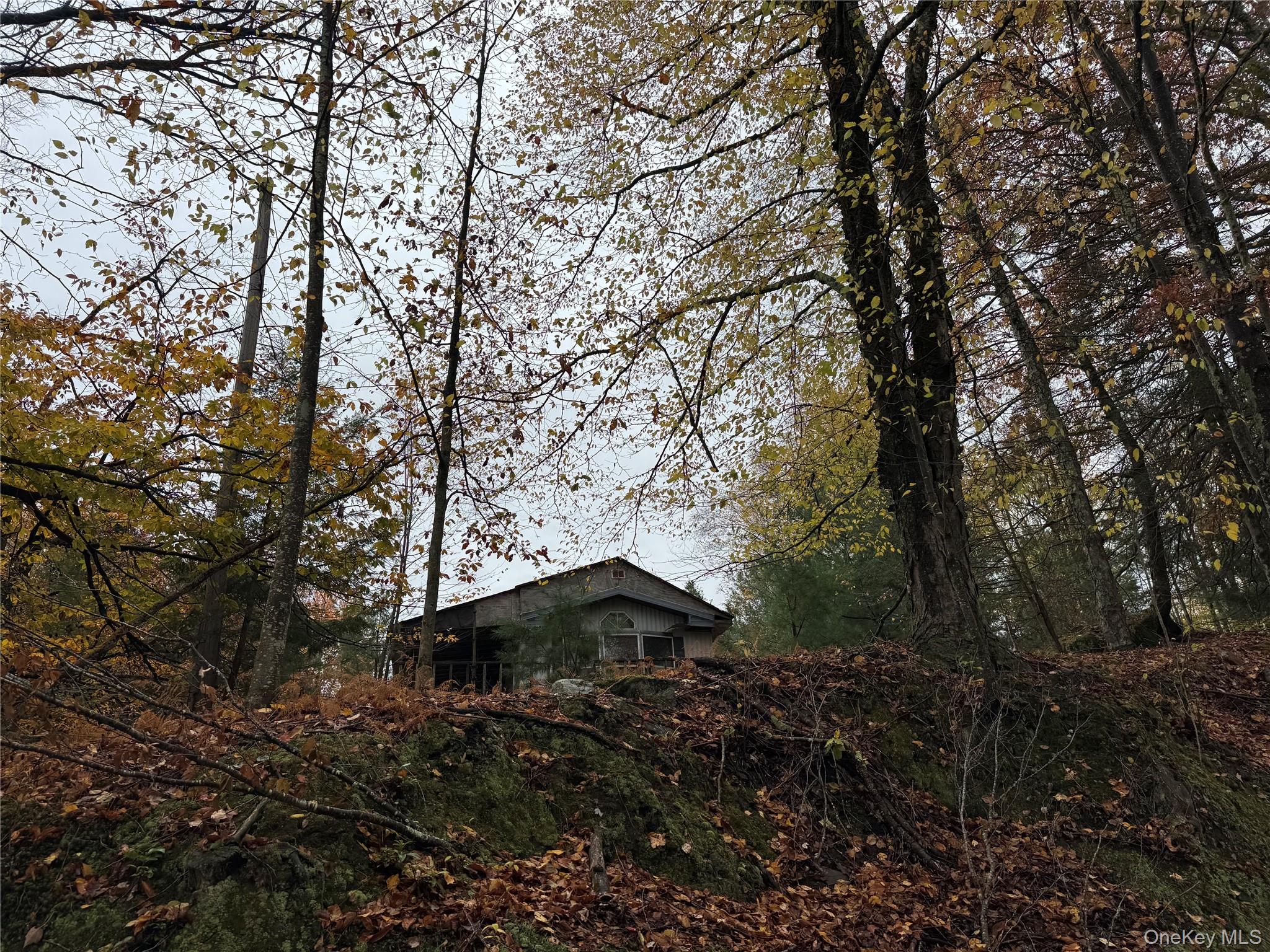 296 Southwoods Drive