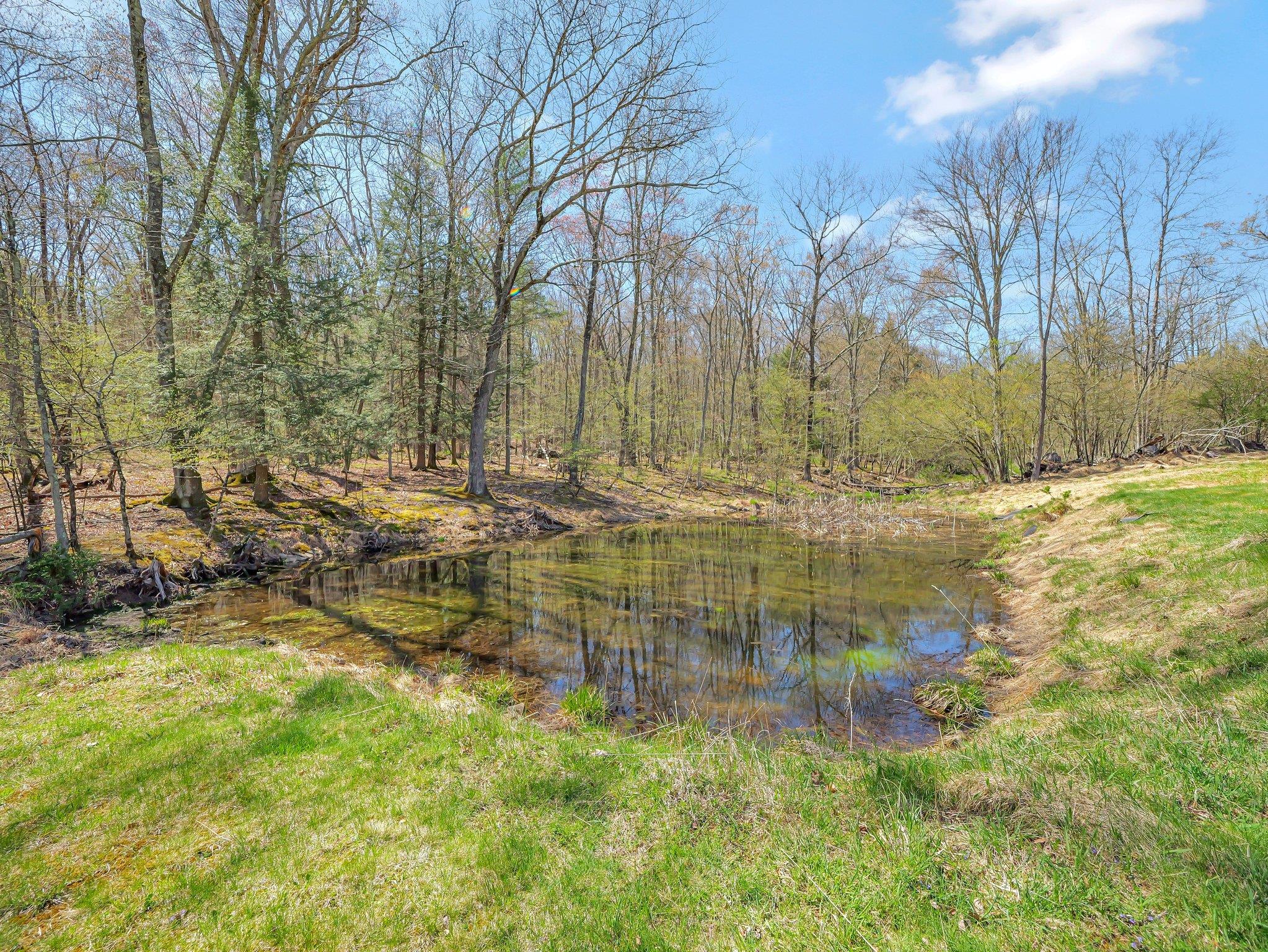 65 York Lake Road, Barryville, New York image 22