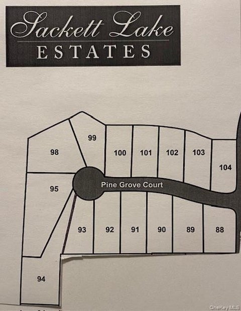 Photo of Pine Grove Court, Monticello, NY 12701 (MLS # 1010198)
