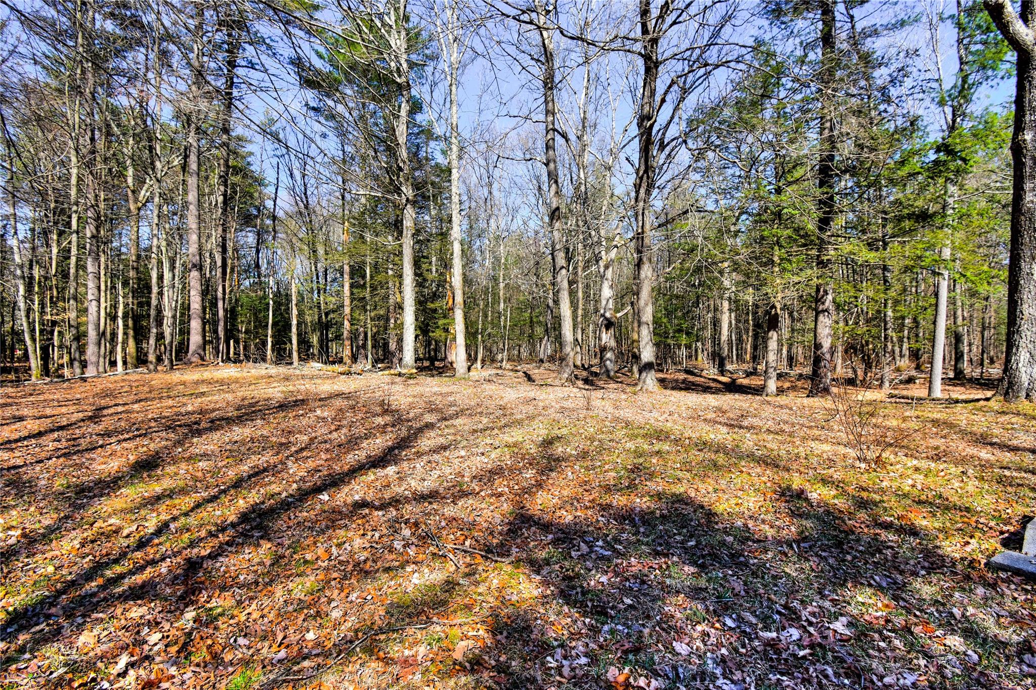 25 Van Buskirk Road, Saugerties, New York image 27