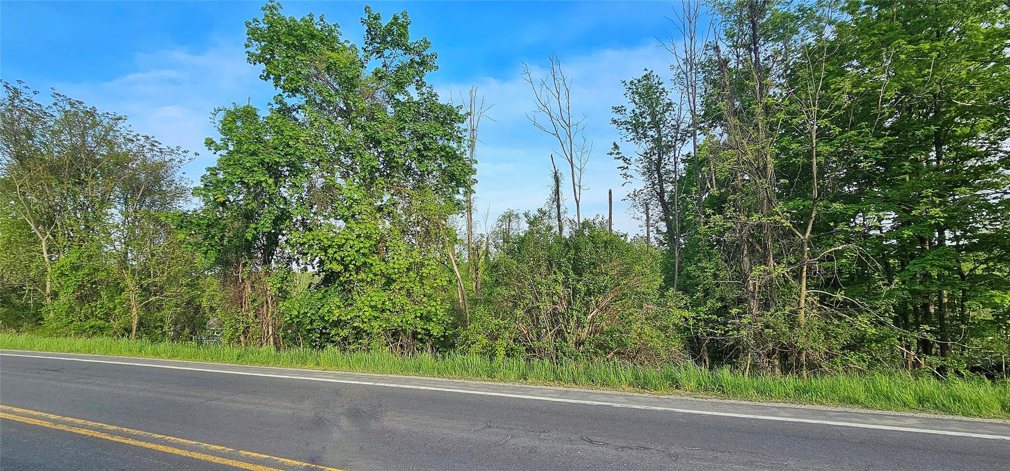 Old Mountain Road, Otisville, New York image 7