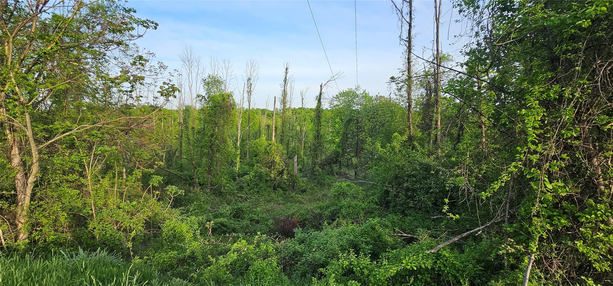 Old Mountain Road, Otisville, New York image 2