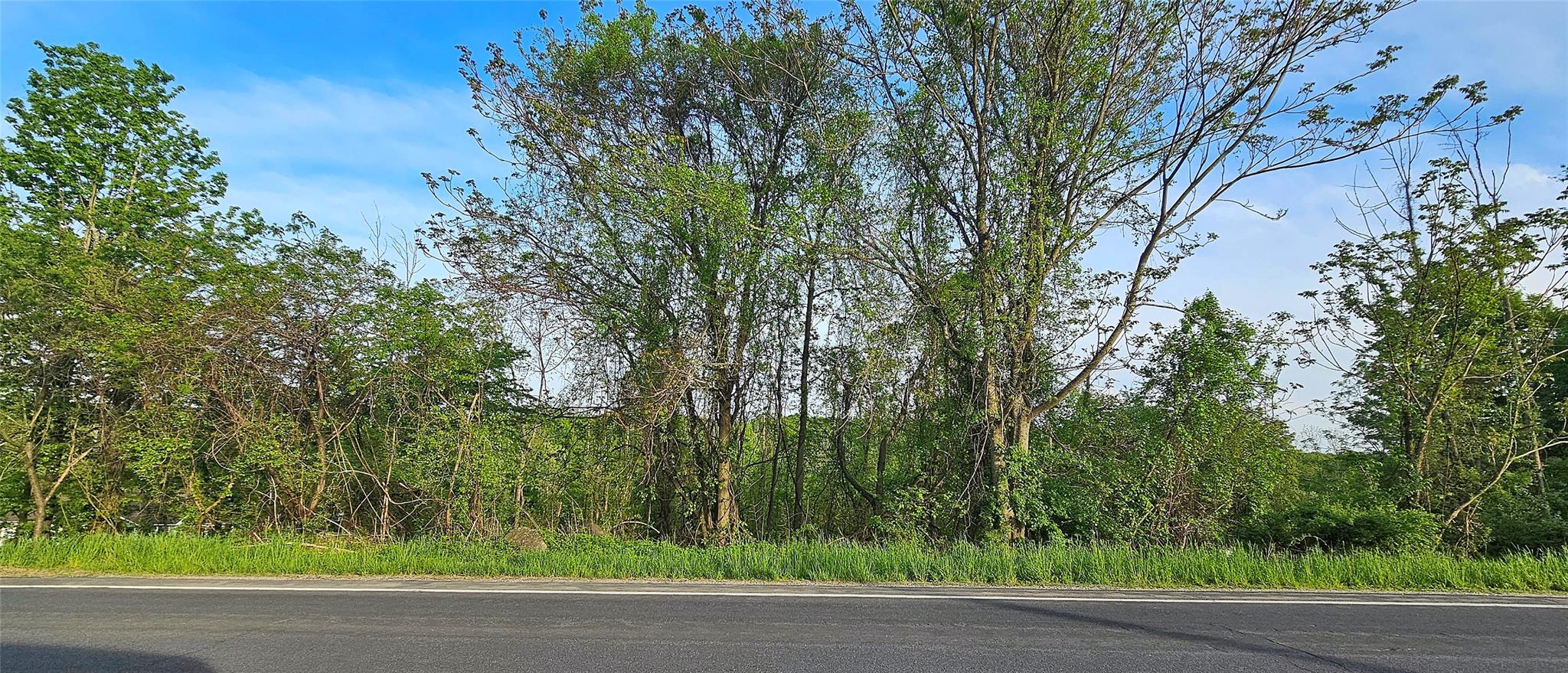 Old Mountain Road, Otisville, New York image 1