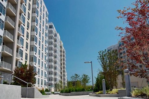 40-28 College point Boulevard 1203 Flushing NY 11355