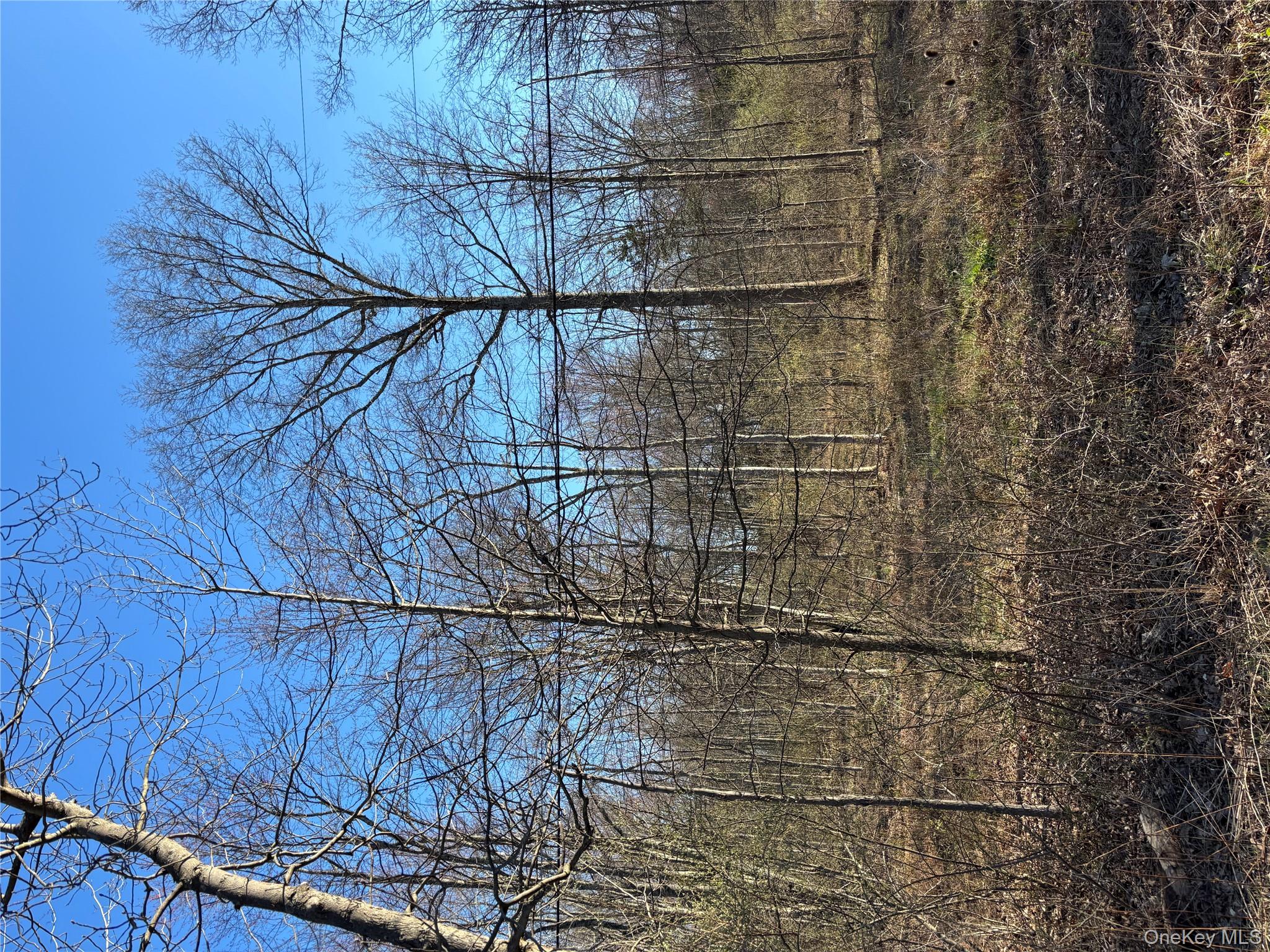 799 Albany Post Road