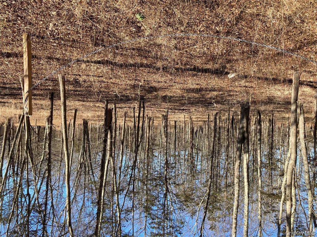 799 Albany Post Road