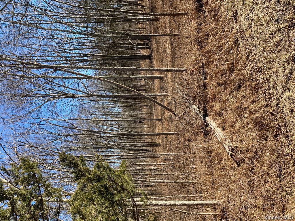 799 Albany Post Road