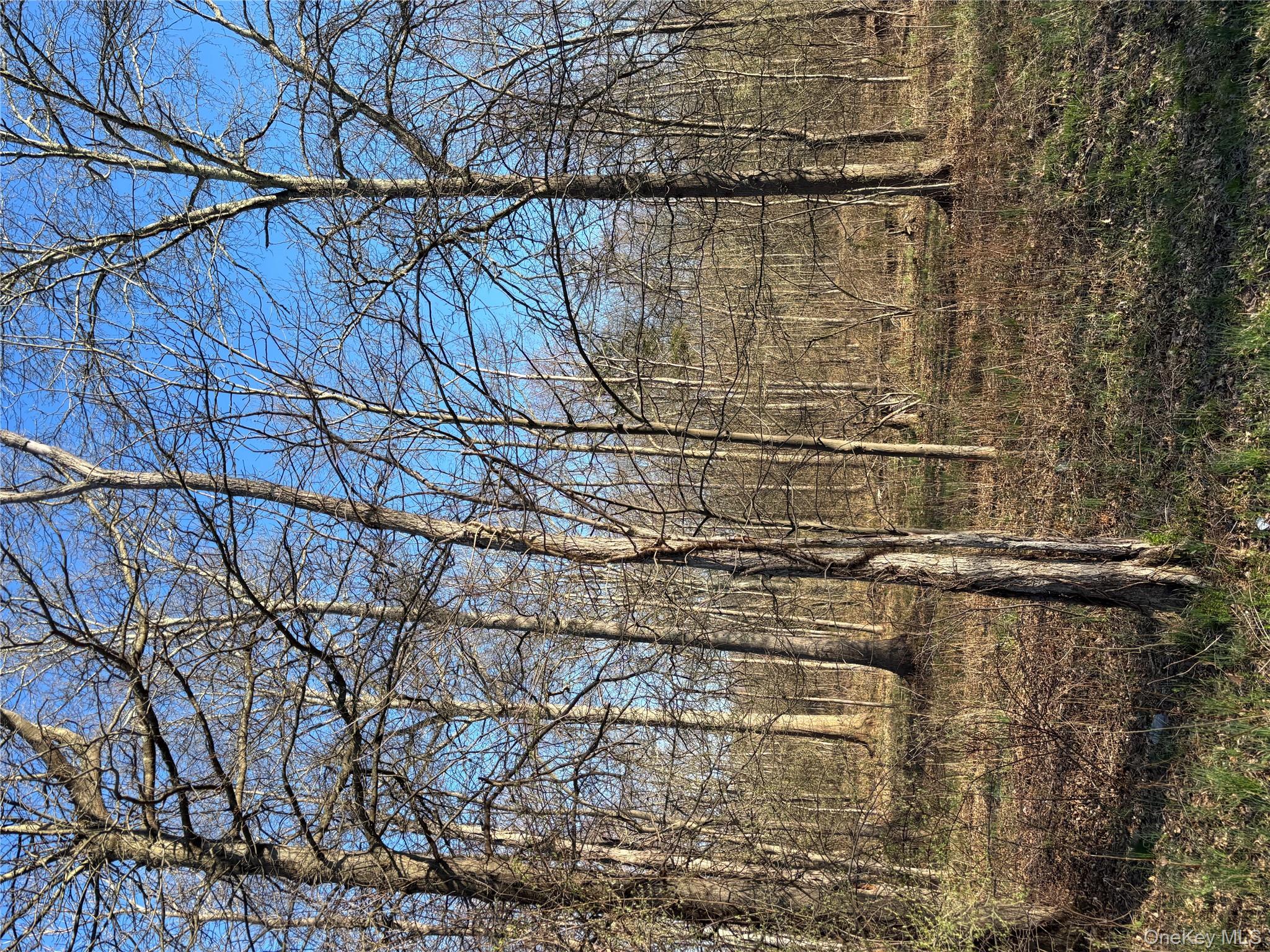 799 Albany Post Road