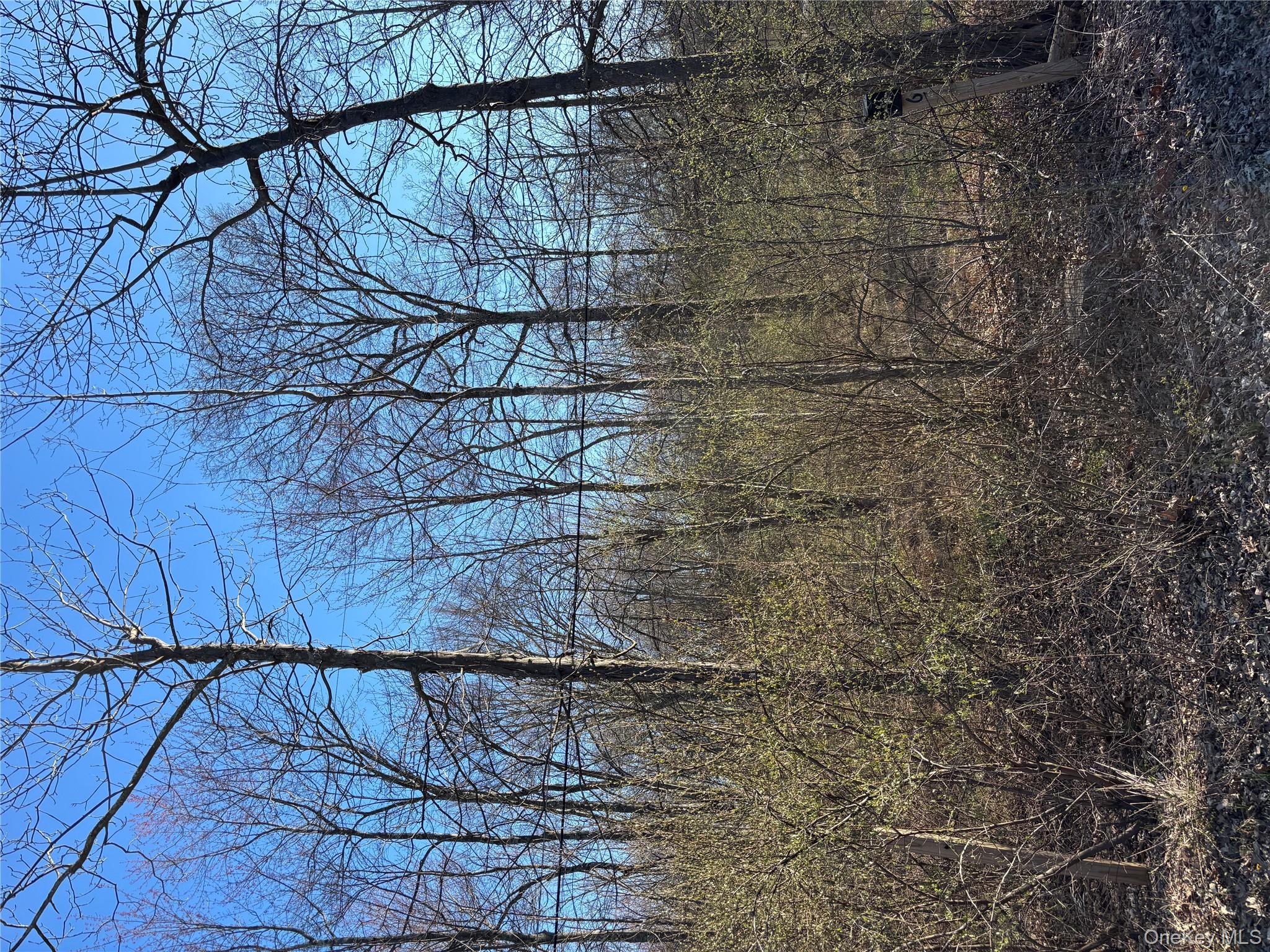 799 Albany Post Road