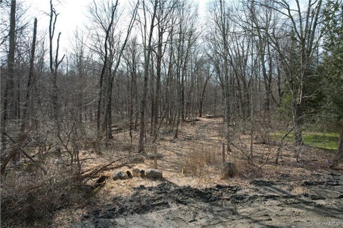 Vacant Land For Sale - Owen Drive<br/> Mahopac, NY 10512