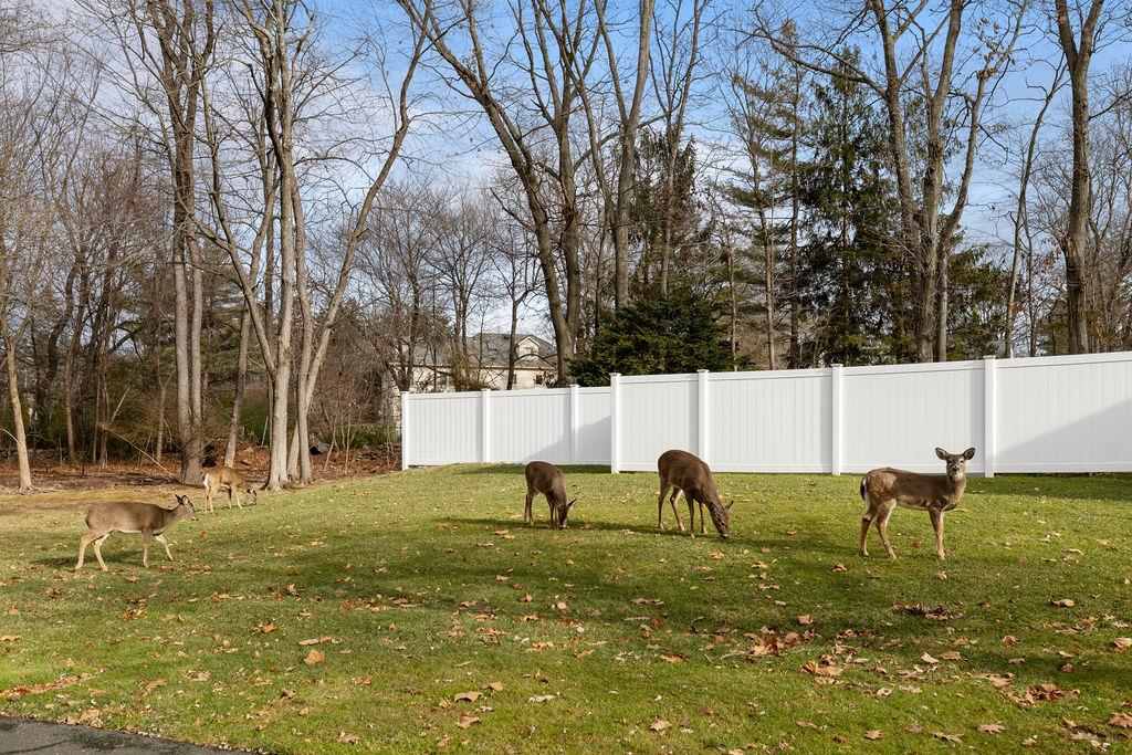 Lot 41 Towners Road, Carmel, New York image 7