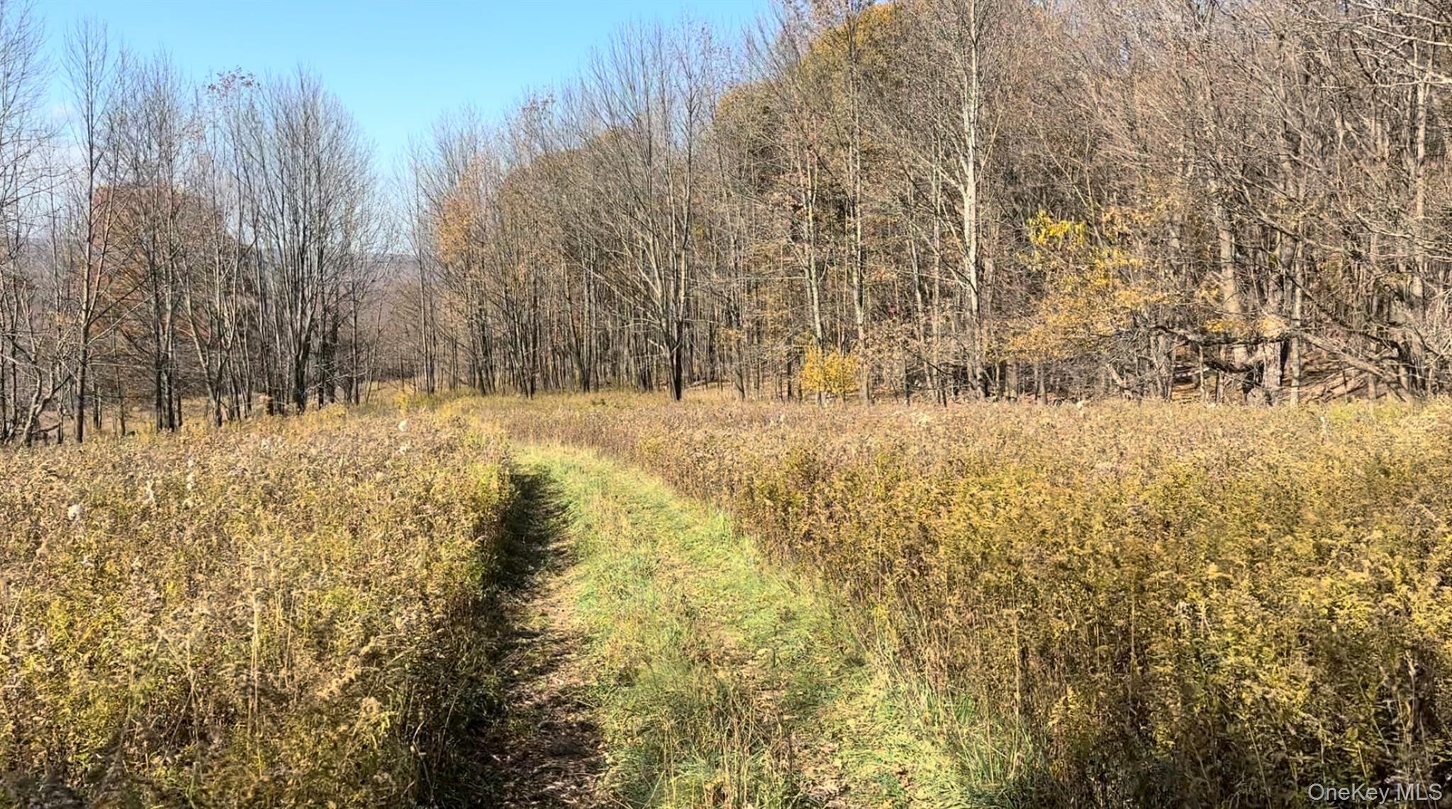 Chaffee Road