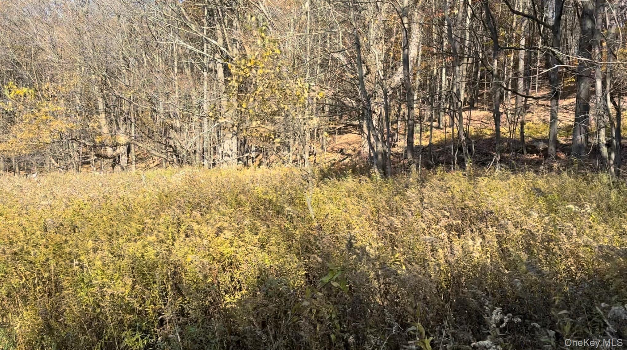 Chaffee Road