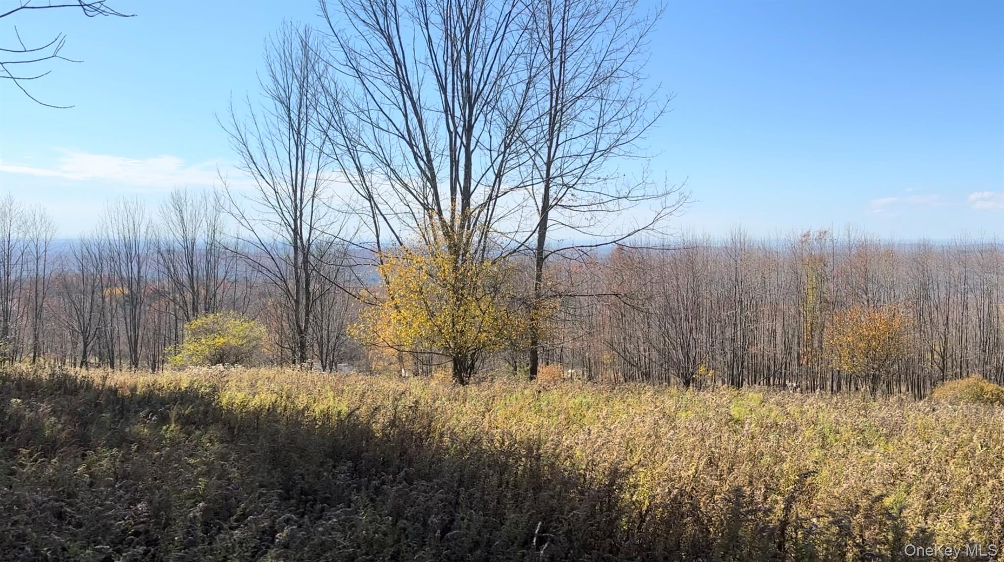 Chaffee Road