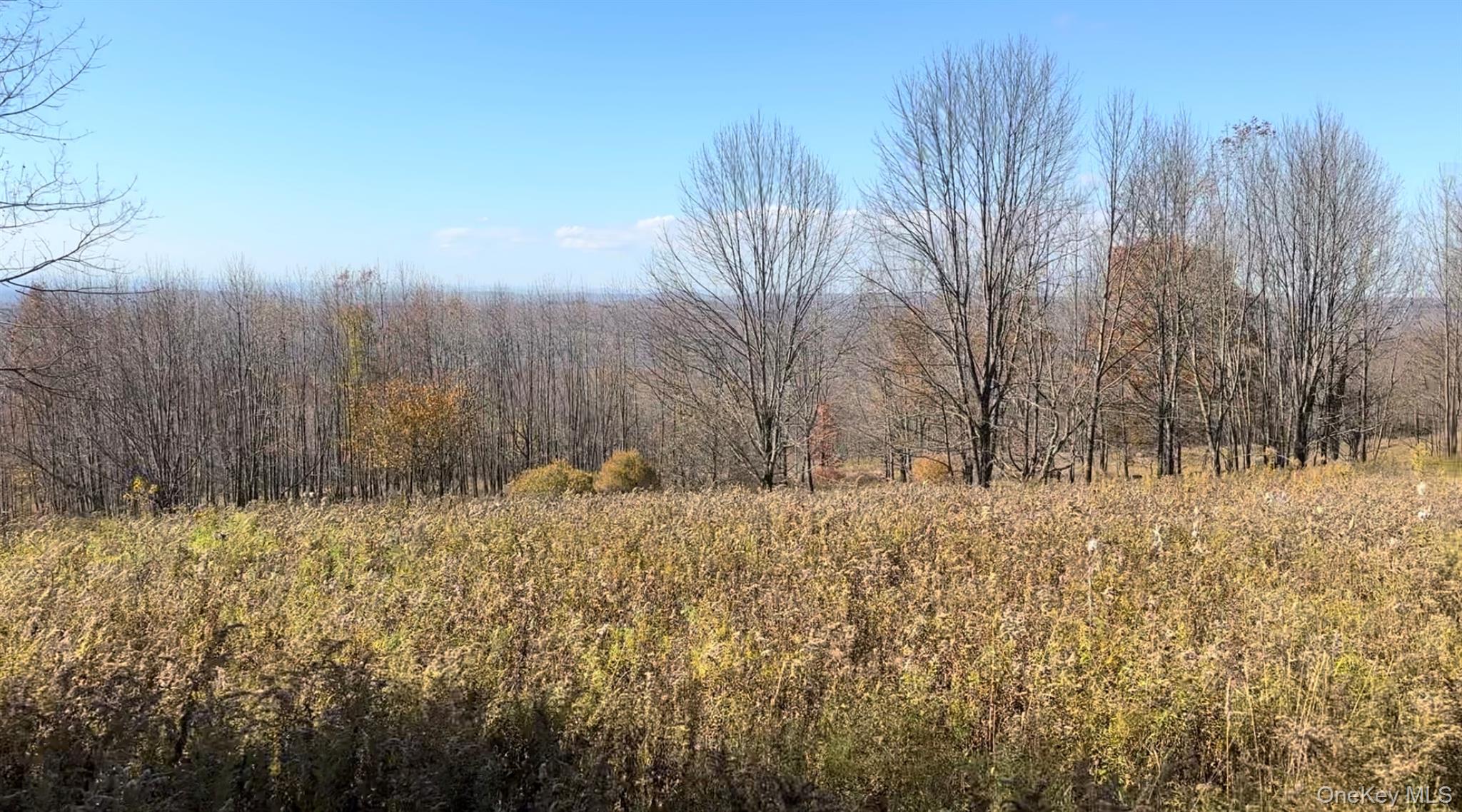 Chaffee Road
