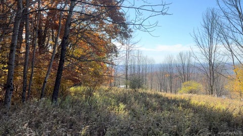Vacant Land For Sale - Chaffee Road<br/> Liberty, NY 12754