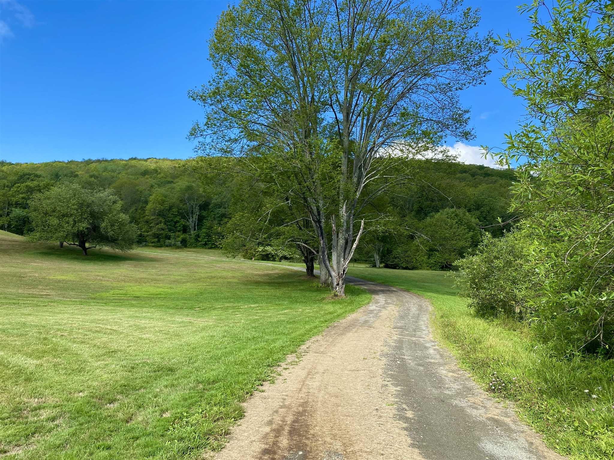 Dewitt Lane, ANCRAMDALE, New York image 7