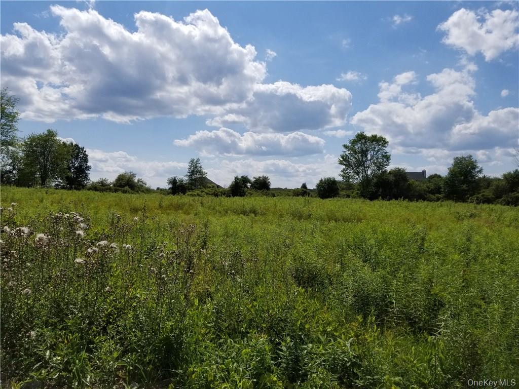 Lagrangeville, New York 12540, United States, ,Land,Active,169254