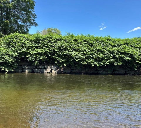 Apartment For Rent - 40 River Street #2<br/> Sullivan County, Livingston Manor, NY 12758