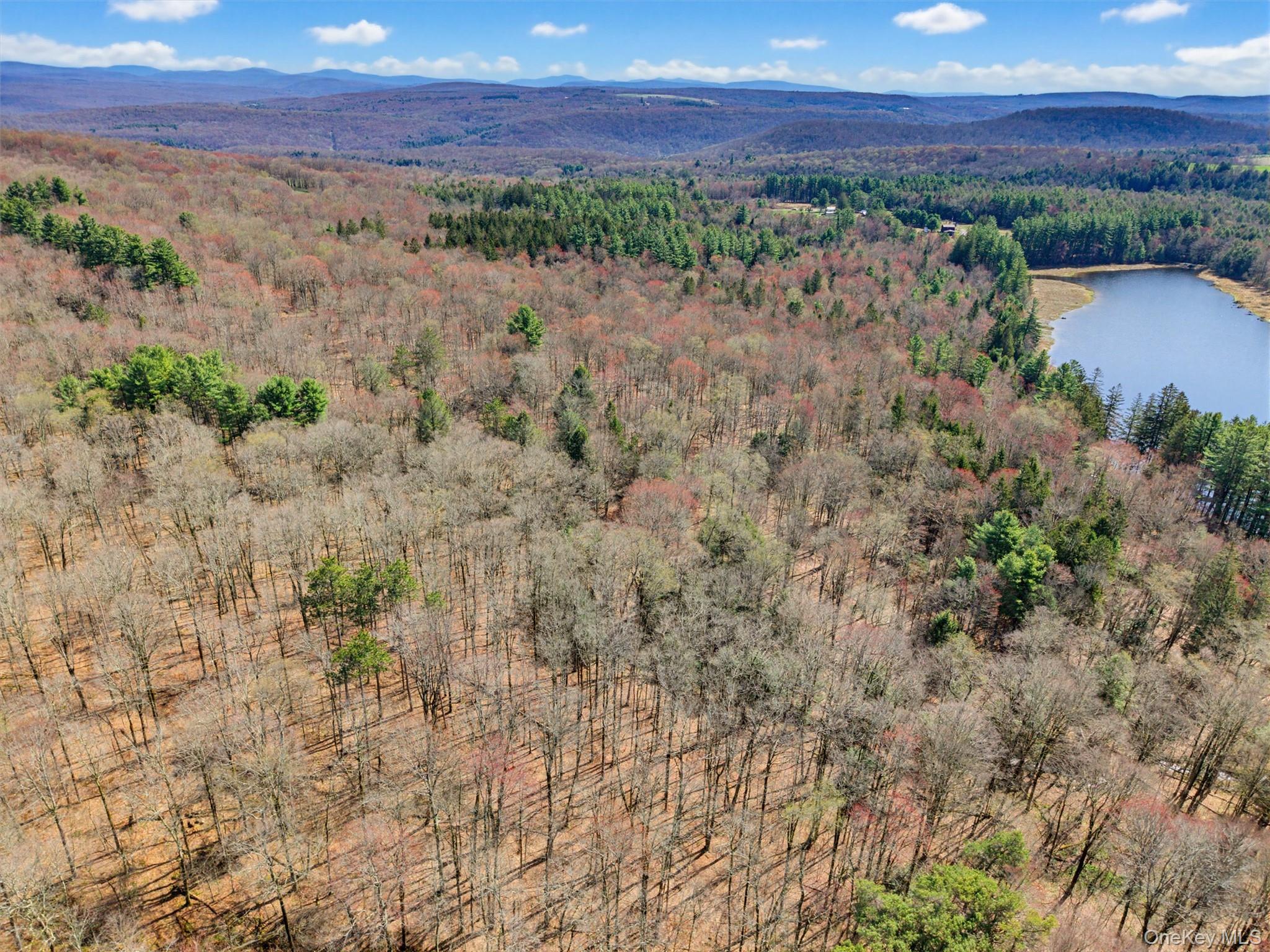 85 Lenape Lake Road