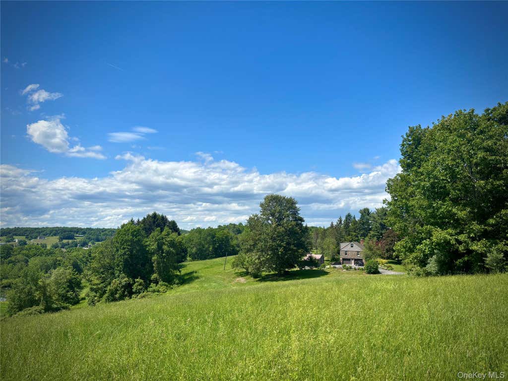 Photo of 2727 County Route 8, Elizaville, NY 12523 (MLS # 1036419)