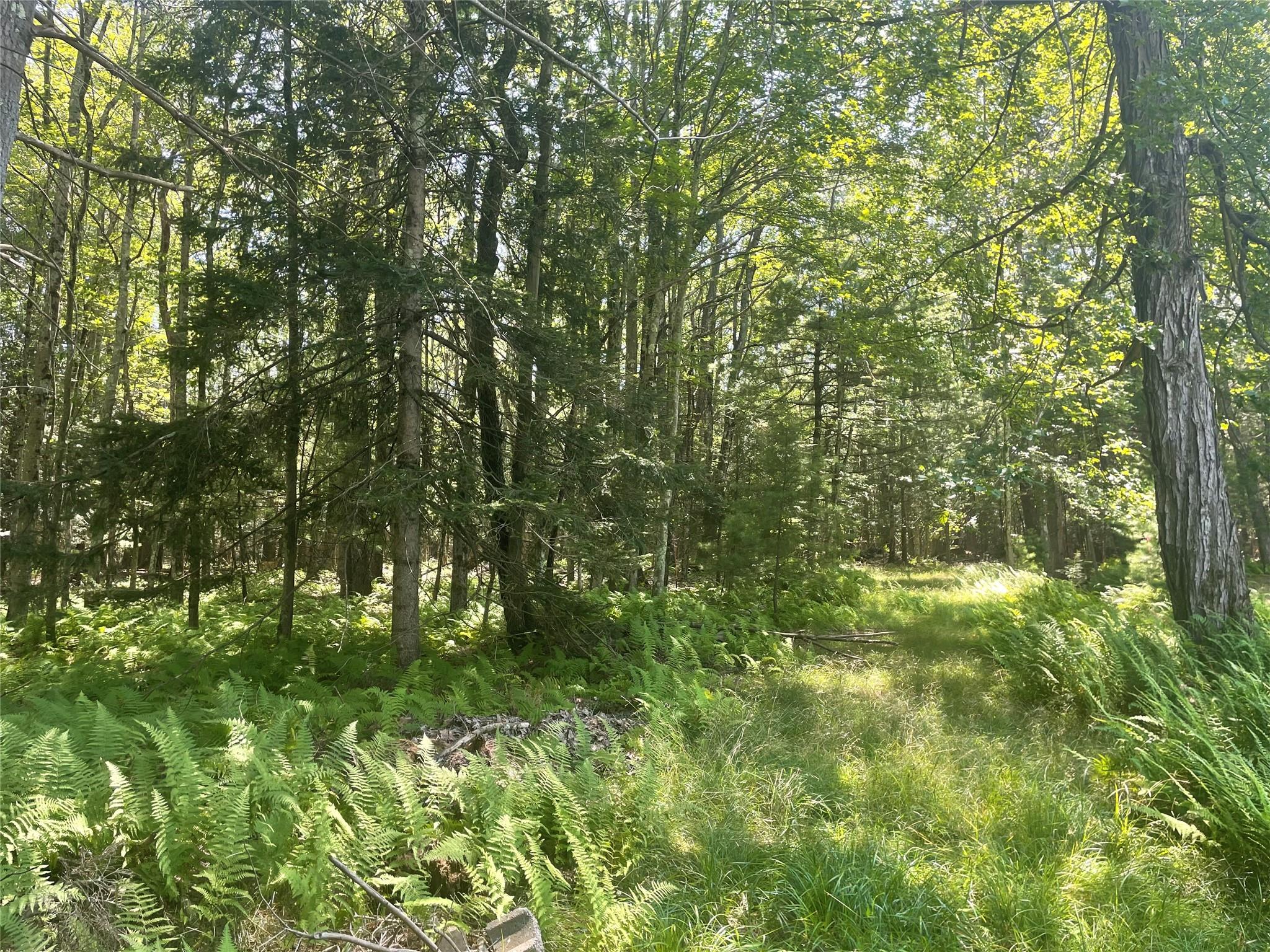 126 Beaver Lake Rd. Road