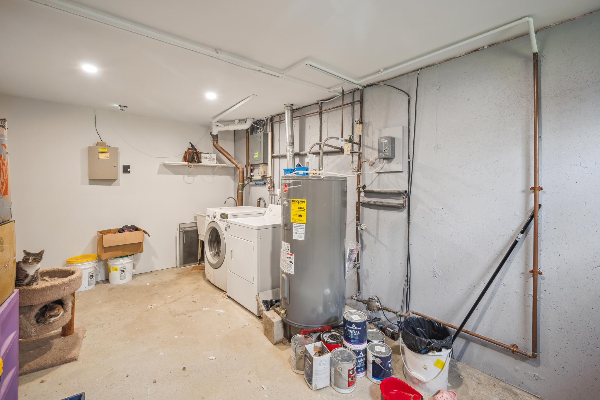 8 Noel Court, Brewster, New York image 15