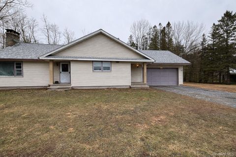 Homes For Sale - 130 Bushville Swan Lake Road<br/> Sullivan County, Ferndale, NY 12734