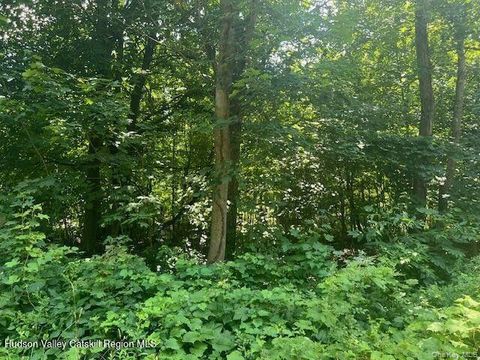 Vacant Land For Sale - 7 Ulster Avenue<br/> Esopus, NY 12487