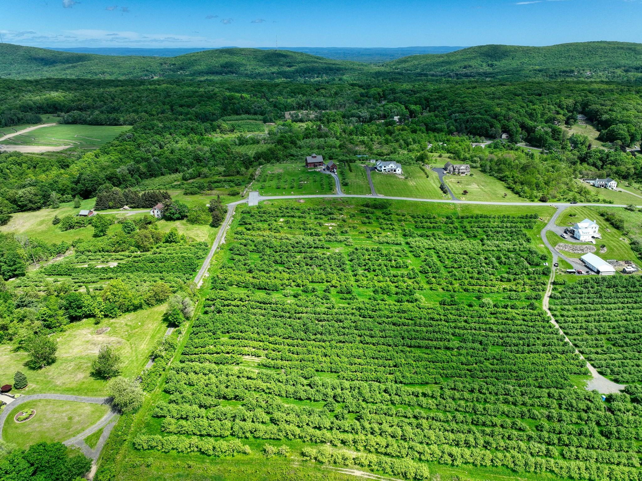 75 Palazzo Lane, Highland, New York image 11