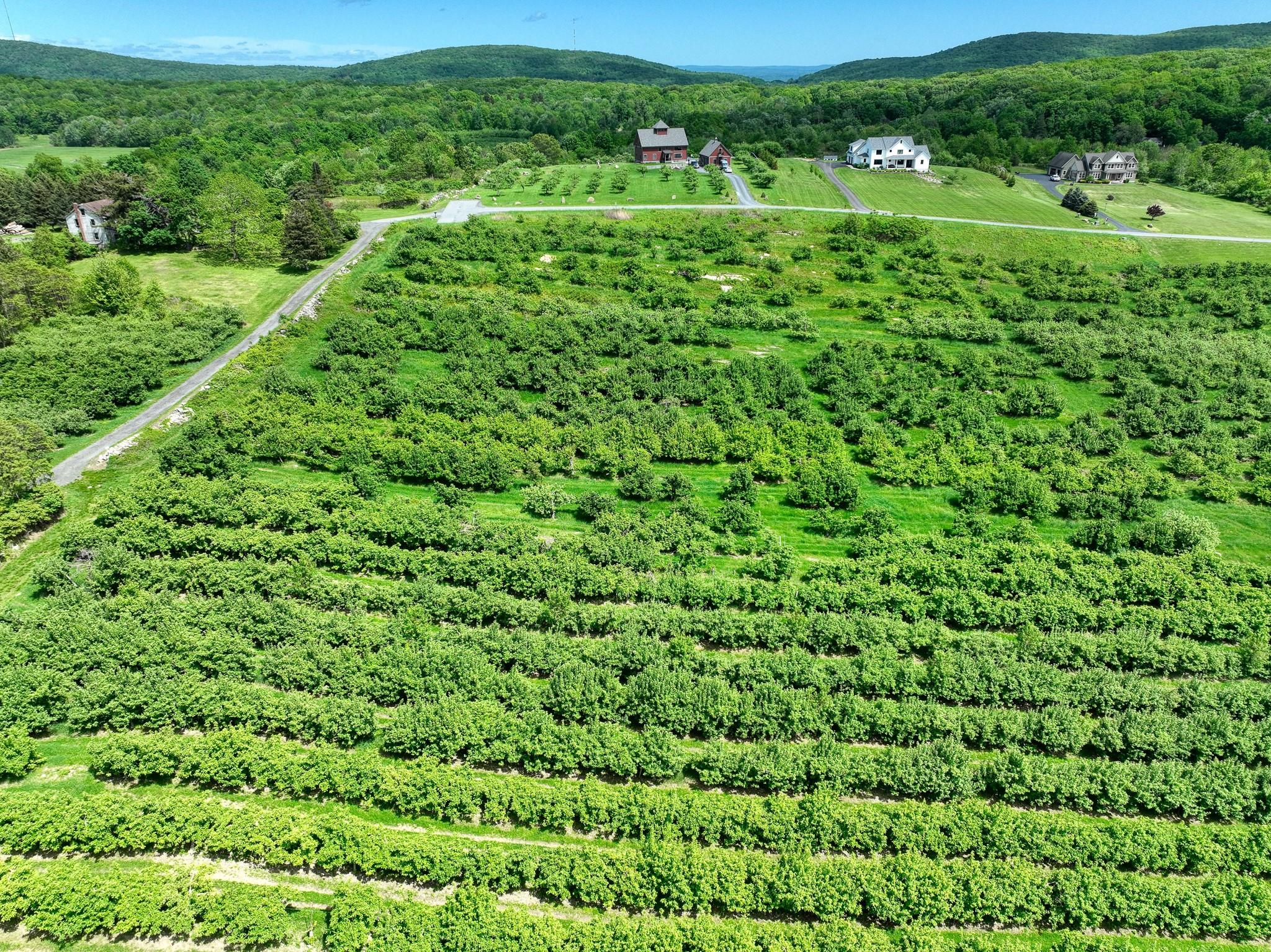 75 Palazzo Lane, Highland, New York image 3