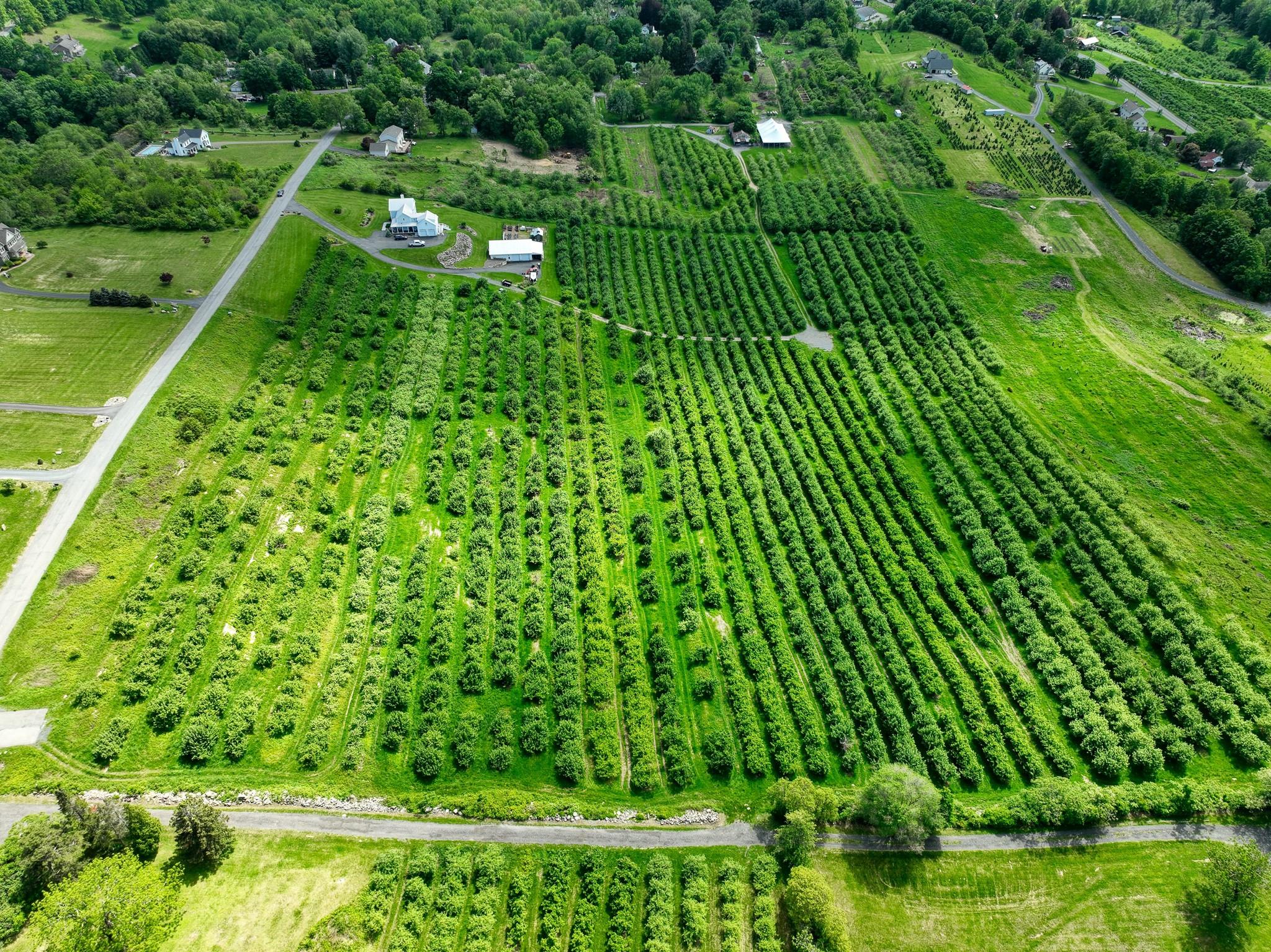 75 Palazzo Lane, Highland, New York image 7