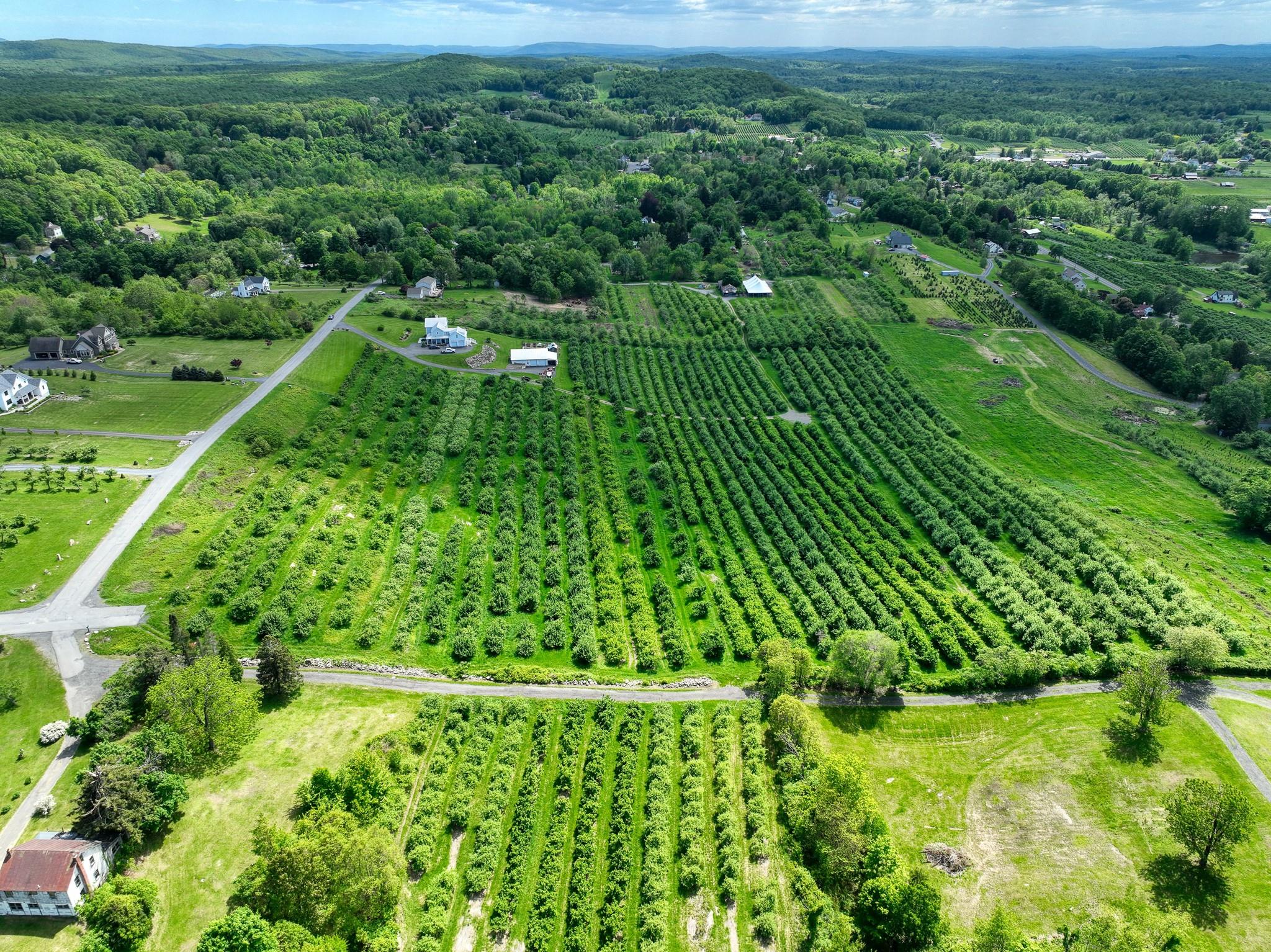 75 Palazzo Lane, Highland, New York image 8