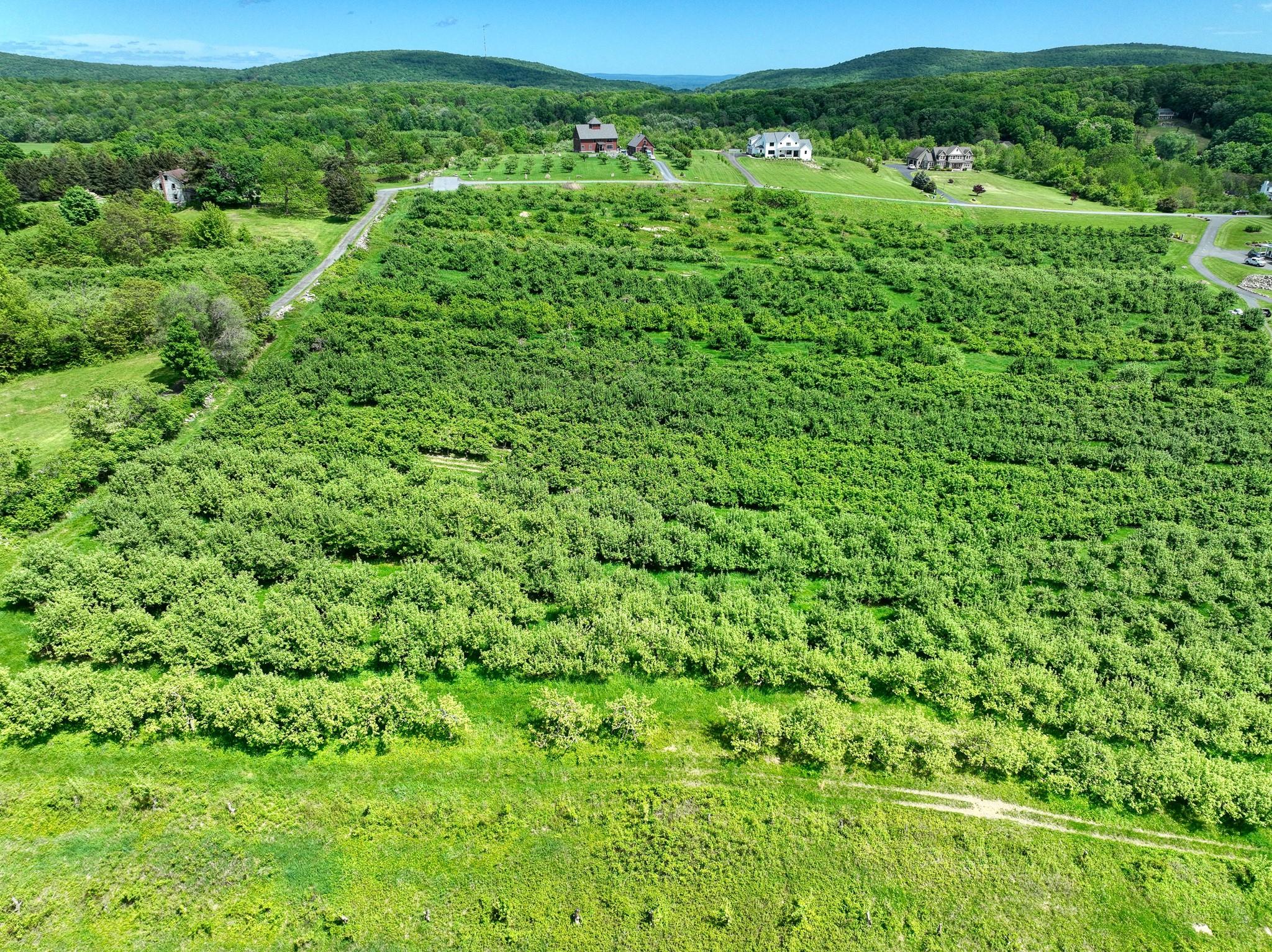 75 Palazzo Lane, Highland, New York image 6