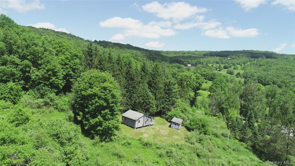 Photo of 2636 Murphy Hill Road, Andes, NY 13731 (MLS # 1018789)