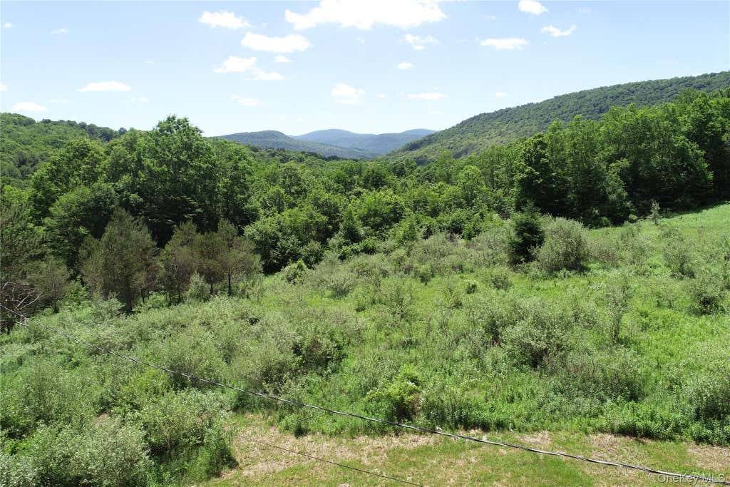 Photo of 2636 Murphy Hill Road, Andes, NY 13731 (MLS # 1018789)