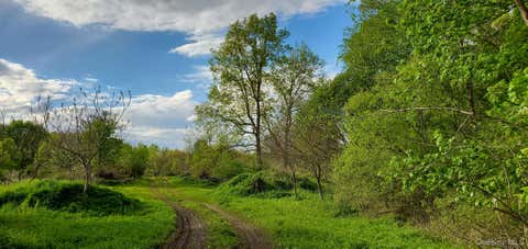 Vacant Land For Sale - 207 Cardinal Road<br/> Hyde Park, NY 12538