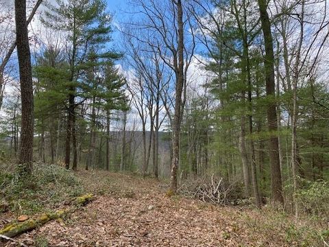 Vacant Land For Sale - Magnolia Drive<br/> Glen Spey, NY 12737