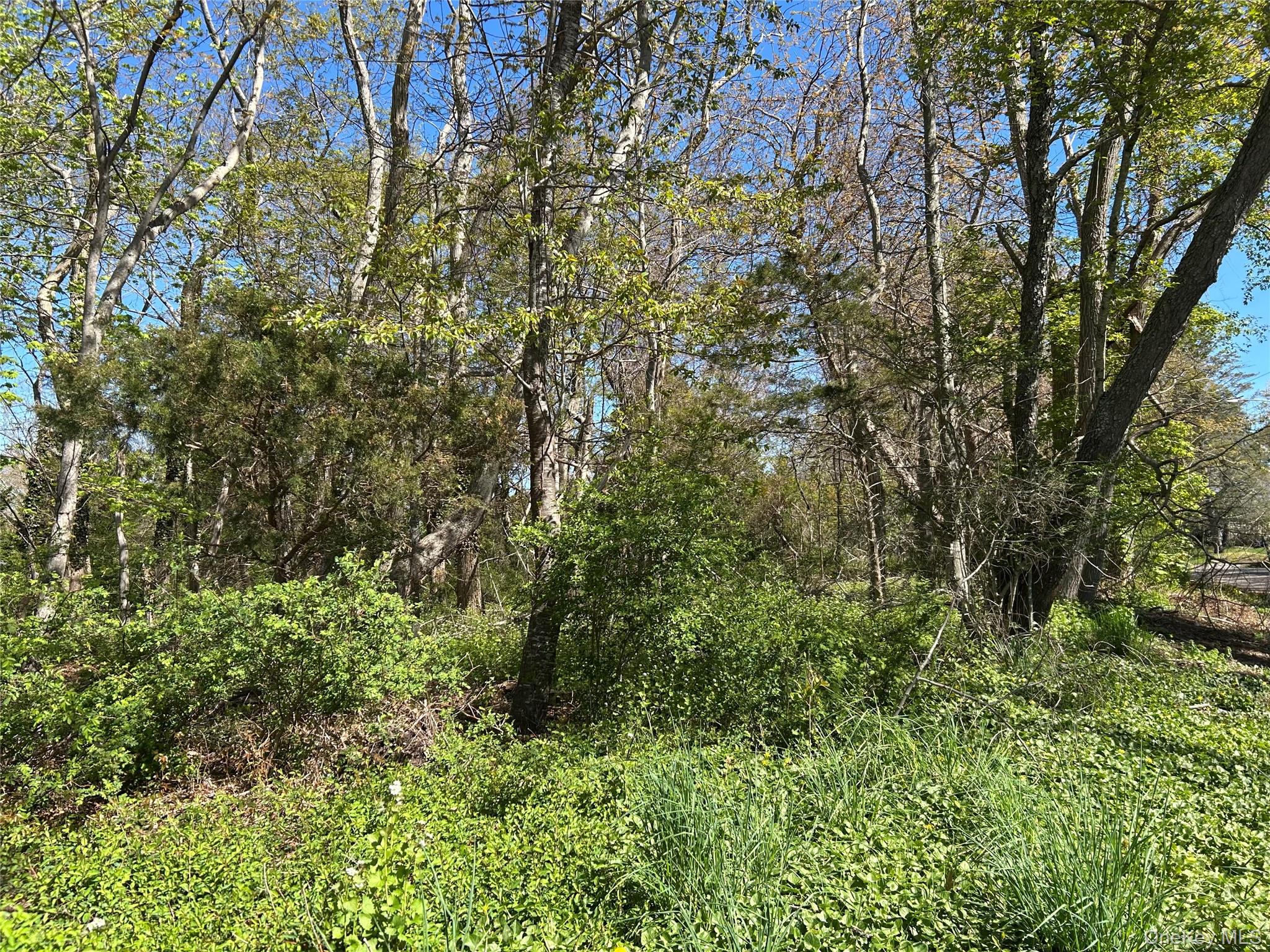 105 Mailer Court
