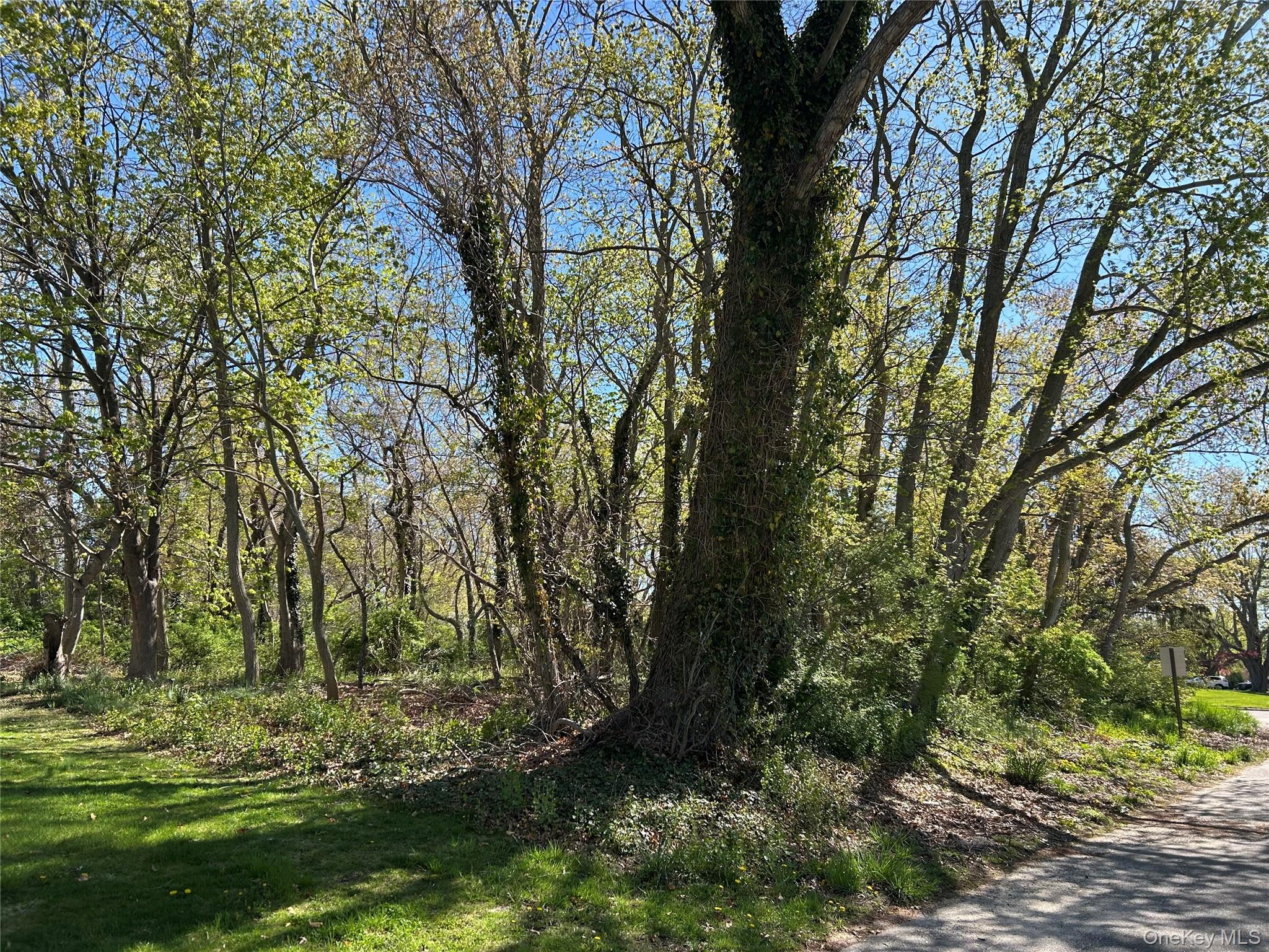 105 Mailer Court