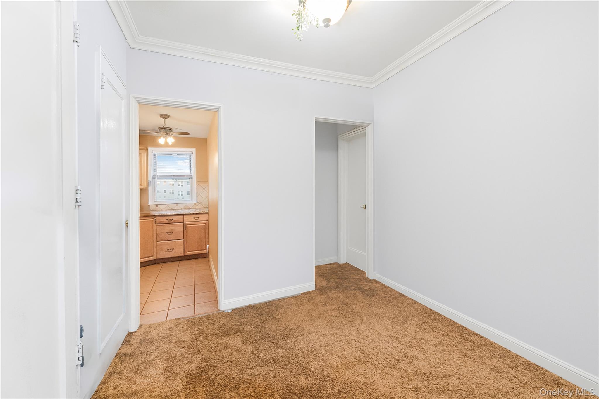 15 Winchester Avenue 1B